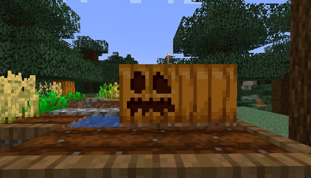 చెక్కిన మరియు రెగ్యులర్ గుమ్మడికాయ